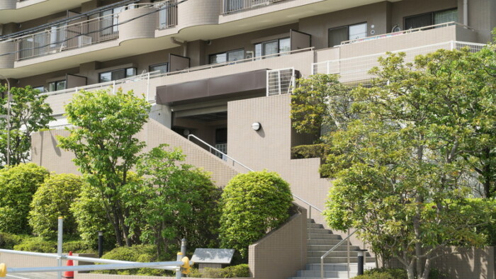 マンションの樹木